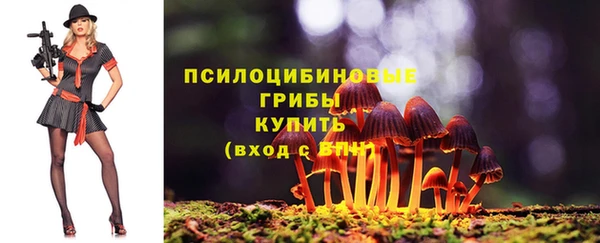 дурь Гусиноозёрск