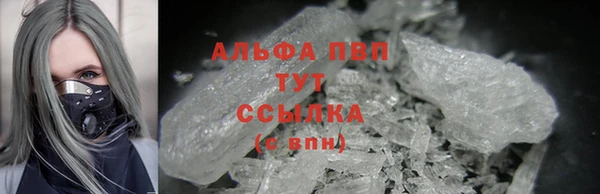 дурь Гусиноозёрск