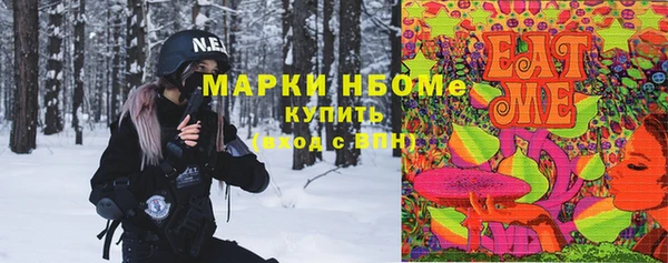 дурь Гусиноозёрск