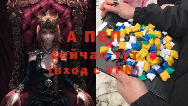 каннабис Гусев