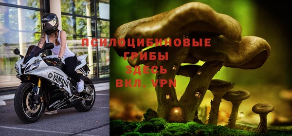 каннабис Гусев