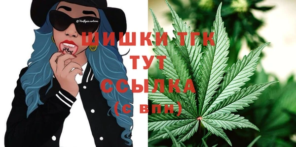 дурь Гусиноозёрск
