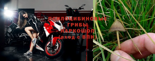каннабис Гусев