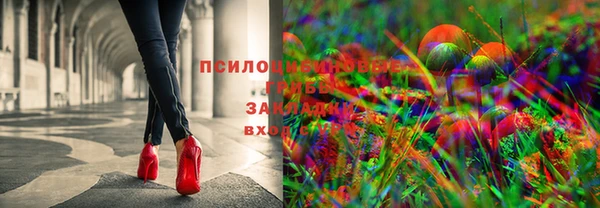 каннабис Гусев