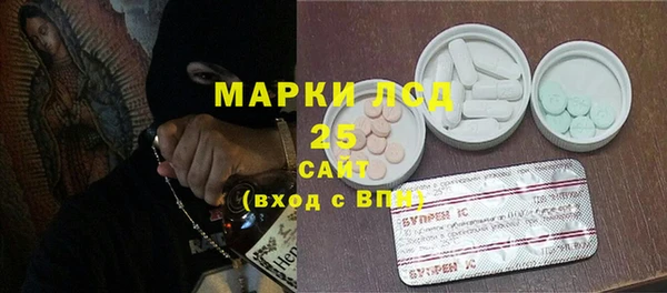 дурь Гусиноозёрск