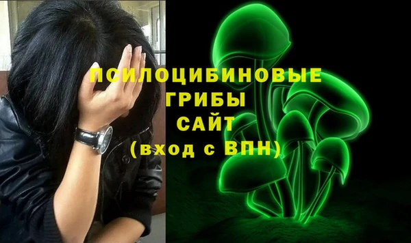 первитин Гусь-Хрустальный